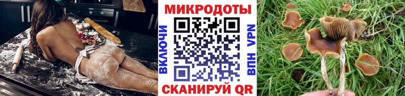 Купить закладки  Калач-на-Дону  Псилоцибиновые грибы MAGIC MUSHROOMS 